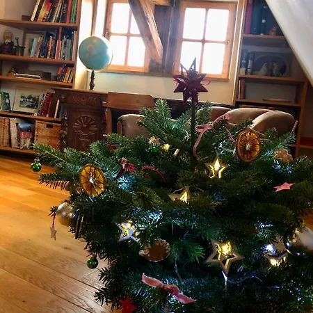 Apartment No.59 Loket