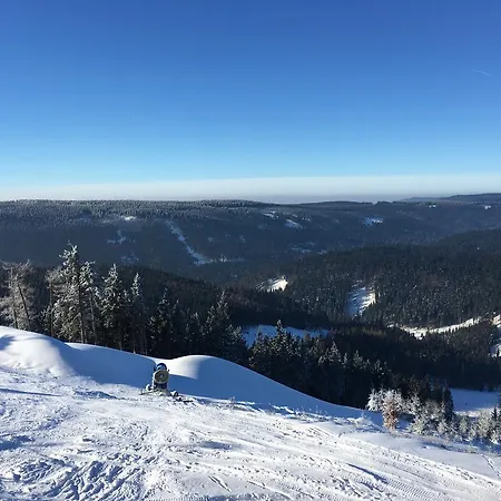 Apartament No.59 Loket