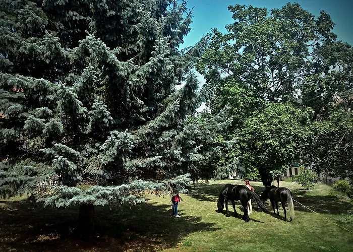 Apartment No.59 Loket