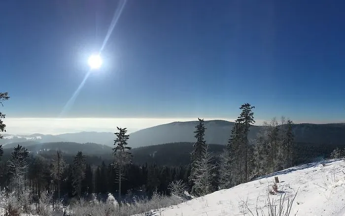 No.59 Локет