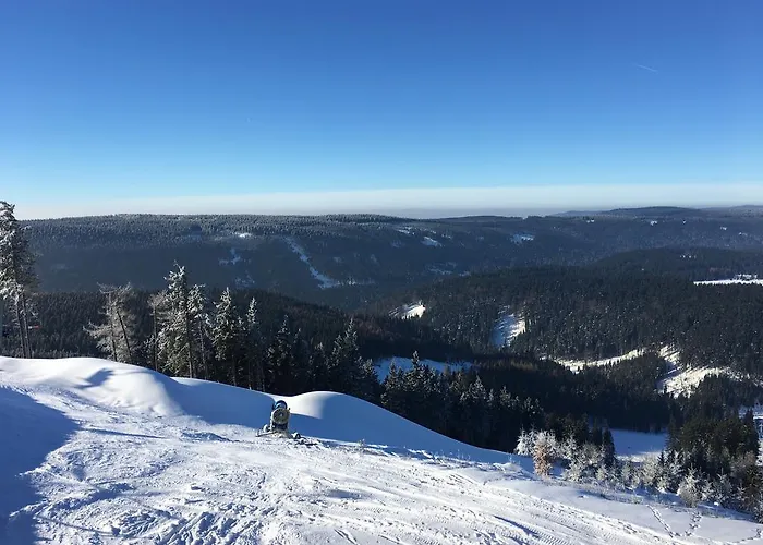 Apartment No.59 Loket